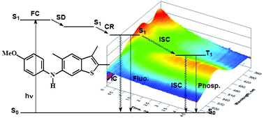 Graphical abstract: Effect of substitution on the ultrafast deactivation of the excited state of benzo[b]thiophene-arylamines