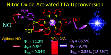 Graphical abstract: Photo-induced electron transfer in a diamino-substituted Ru(bpy)3[PF6]2 complex and its application as a triplet photosensitizer for nitric oxide (NO)-activated triplet–triplet annihilation upconversion