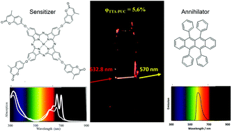 Graphical abstract: Metallophthalocyanines as triplet sensitizers for highly efficient photon upconversion based on sensitized triplet–triplet annihilation