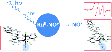 Graphical abstract: trans- and cis-(Cl,Cl)-[RuII(FT)Cl2(NO)](PF6): promising candidates for NO release in the NIR region