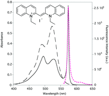 Graphical abstract: Self-assembly of organic dyes in supramolecular aggregates