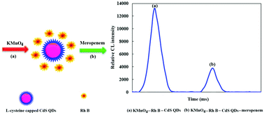 Graphical abstract: A novel and sensitive chemosensor based on a KMnO4–rhodamine B–CdS quantum dot chemiluminescence system for meropenem detection