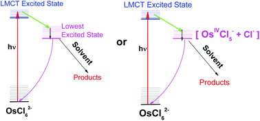 Graphical abstract: Primary photophysical and photochemical processes for hexachloroosmate(iv) in aqueous solution
