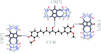 Graphical abstract: The new supramolecular nano-aggregate curcumin-cucurbit[7]uril: synthesis, photophysical properties and biocompatibility evaluation