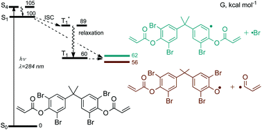 Graphical abstract: Self-initiation of UV photopolymerization reactions using tetrahalogenated bisphenol A (meth)acrylates