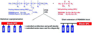 Graphical abstract: Facile synthesis of graft copolymers of controlled architecture. Copolymerization of fluorinated and non-fluorinated poly(dimethylsiloxane) macromonomers with trialkylsilyl methacrylates using RAFT polymerization