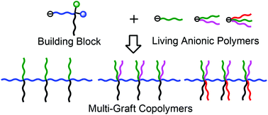 Graphical abstract: Syntheses of exactly-defined multi-graft polymers with two or more graft chains per branch point by a new iterative methodology