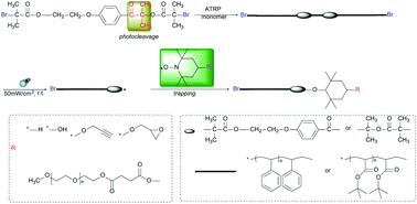 Graphical abstract: A photo-induced nitroxide trapping method to prepare α,ω-heterotelechelic polymers