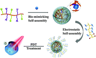 Graphical abstract: A biomimicking and electrostatic self-assembly strategy for the preparation of glycopolymer decorated photoactive nanoparticles