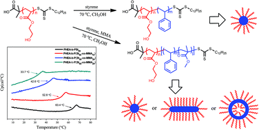 Graphical abstract: Promotion of morphology transition of di-block copolymer nano-objects via RAFT dispersion copolymerization