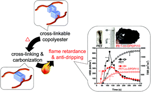 Graphical abstract: Phenylmaleimide-containing PET-based copolyester: cross-linking from 2π + π cycloaddition toward flame retardance and anti-dripping