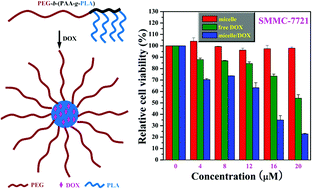 Graphical abstract: Construction of PEG-based amphiphilic brush polymers bearing hydrophobic poly(lactic acid) side chains via successive RAFT polymerization and ROP