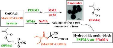 Graphical abstract: Synthesis of amphiphilic nanoparticles and multi-block hydrophilic copolymers by a facile and effective “living” radical polymerization in water