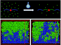 Graphical abstract: Tailoring the structure of polymer networks with iniferter-mediated photo-growth