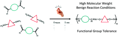 Graphical abstract: Extremely rapid and versatile synthesis of high molecular weight step growth polymers via oxime click chemistry