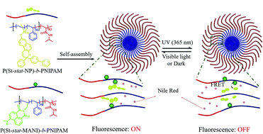 Graphical abstract: Light-triggered “on–off” switching of fluorescence based on a naphthopyran-containing compound polymer micelle