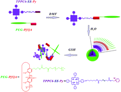 Graphical abstract: Redox-responsive supramolecular amphiphiles based on a pillar[5]arene for enhanced photodynamic therapy