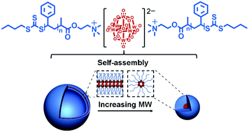 Graphical abstract: Versatile self-assembly of supramolecular block copolymers with ionic cluster junctions