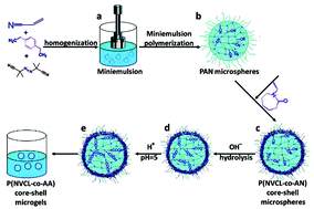 Graphical abstract: Synthesis and multi-responsiveness of poly(N-vinylcaprolactam-co-acrylic acid) core–shell microgels via miniemulsion polymerization