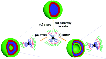 Graphical abstract: Self-assembly and micelle-to-vesicle transition from star triblock ABC copolymers based on a cyclodextrin core