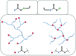 Graphical abstract: Hyperbranched polymers via RAFT self-condensing vinyl polymerization