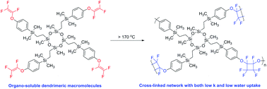 Graphical abstract: Dendrimeric organosiloxane with thermopolymerizable –OCF [[double bond, length as m-dash]] CF2 groups as the arms: synthesis and transformation to the polymer with both ultra-low k and low water uptake