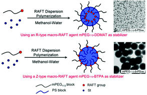 Graphical abstract: Z-type and R-type macro-RAFT agents in RAFT dispersion polymerization – another mechanism perspective on PISA