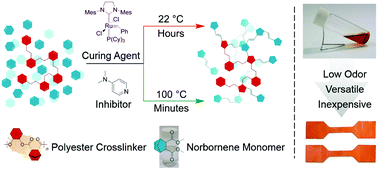 Graphical abstract: A delayed curing ROMP based thermosetting resin