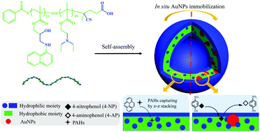 Graphical abstract: A multifunctional statistical copolymer vesicle for water remediation