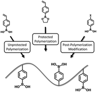 Graphical abstract: Synthesis and polymerization of boronic acid containing monomers