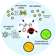 Graphical abstract: pH-Responsive nanocapsules from silylated copolymers