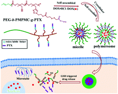 Graphical abstract: A co-delivery system based on a reduction-sensitive polymeric prodrug capable of loading hydrophilic and hydrophobic drugs for combination chemotherapy