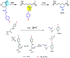 Graphical abstract: Synthesis of well-defined carboxyl poly(ε-caprolactone) by fine-tuning the protection group