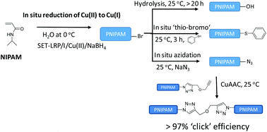 Graphical abstract: Quantitative end-group functionalization of PNIPAM from aqueous SET-LRP via in situ reduction of Cu(ii) with NaBH4