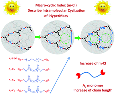 Graphical abstract: Intramolecular cyclization of long-chain hyperbranched polymers (HyperMacs) from A2 + Bn step-wise polymerization