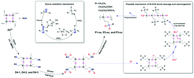 Graphical abstract: A new route to achieve the side-chain-type sulfone-containing polysiloxanes via sulfide oxidation-induced cleavage and rearrangement of Si–O–Si bonds with fine selectivity toward cyclosiloxanes