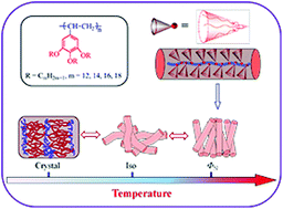 Graphical abstract: Design, synthesis and thermotropic self-organization of dendronized polystyrenes with different length alkyl tails