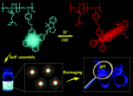 Graphical abstract: Intracellular pH sensing using polymeric micelle containing tetraphenylethylene-oxazolidine