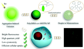 Graphical abstract: Bright and biocompatible AIE polymeric nanoparticles prepared from miniemulsion for fluorescence cell imaging