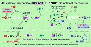 Graphical abstract: Traceless switch organocatalysis enables multiblock ring-opening copolymerizations of lactones, carbonates, and lactides: by a one plus one approach in one pot