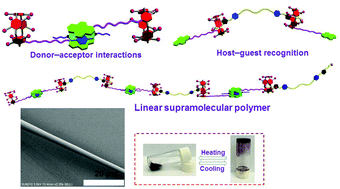 Graphical abstract: Construction of a neutral linear supramolecular polymer via orthogonal donor–acceptor interactions and pillar[5]arene-based molecular recognition