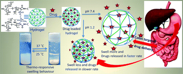 Graphical abstract: Stimuli-responsive, biocompatible hydrogel derived from glycogen and poly(N-isopropylacrylamide) for colon targeted delivery of ornidazole and 5-amino salicylic acid