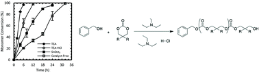 Graphical abstract: Triethylamine-based catalysts for the melt polymerization of carbonate monomers