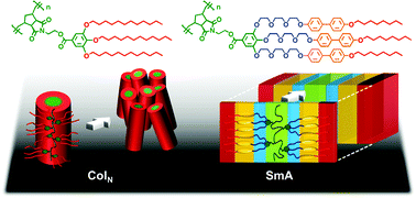 Graphical abstract: Hierarchical superstructures of norbornene-based polymers depending on dendronized side-chains