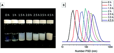 Graphical abstract: Surface-initiated polymerization-induced self-assembly of bimodal polymer-grafted silica nanoparticles towards hybrid assemblies in one step