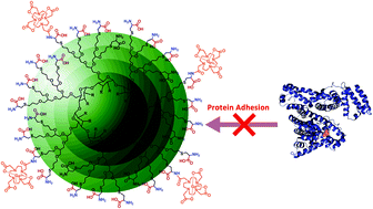 Graphical abstract: Facile synthesis of zwitterionic polyglycerol dendrimers with a β-cyclodextrin core as MRI contrast agent carriers