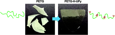 Graphical abstract: Supramolecular engineering polyesters: endgroup functionalization of glycol modified PET with ureidopyrimidinone