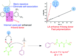 Graphical abstract: Internal Lewis pair enhanced H-bond donor: boronate-urea and tertiary amine co-catalysis in ring-opening polymerization