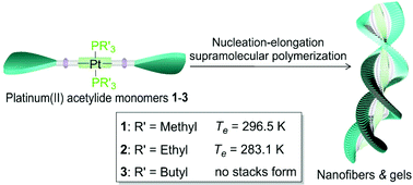 Graphical abstract: Ligand effects on cooperative supramolecular polymerization of platinum(ii) acetylide complexes