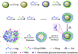 Graphical abstract: Preparation of glucose responsive polyelectrolyte capsules with shell crosslinking via the layer-by-layer technique and sustained release of insulin